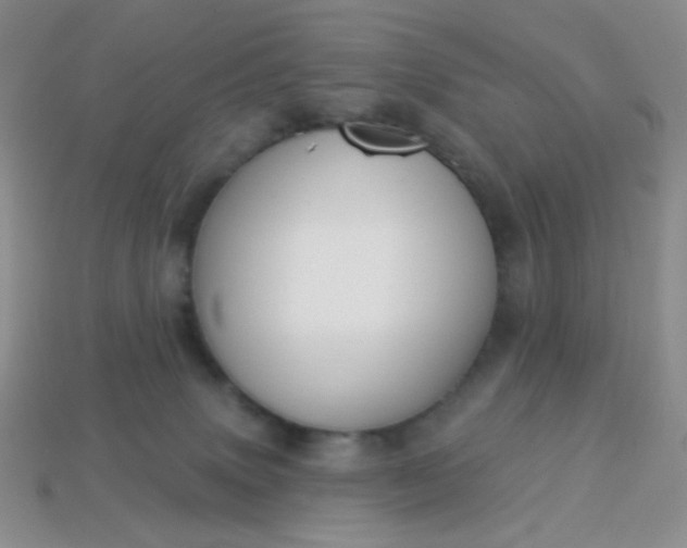 X0000113960083200910091638