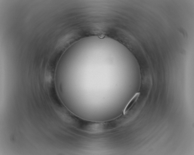 X0000113960084200910091638