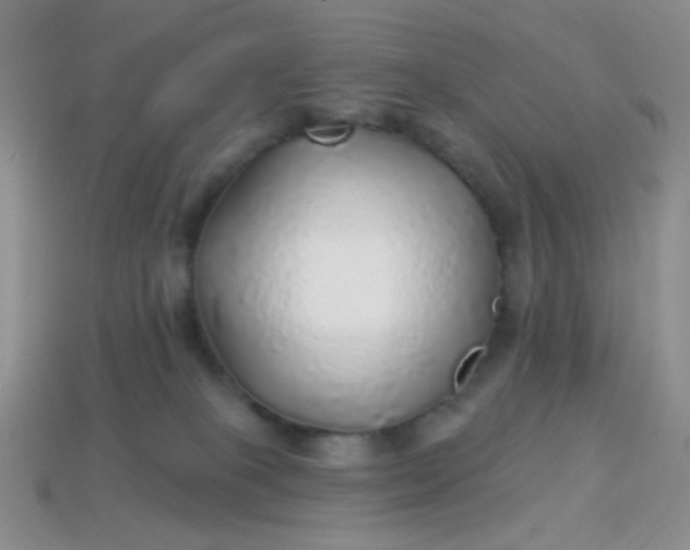 X0000113960085200910091638