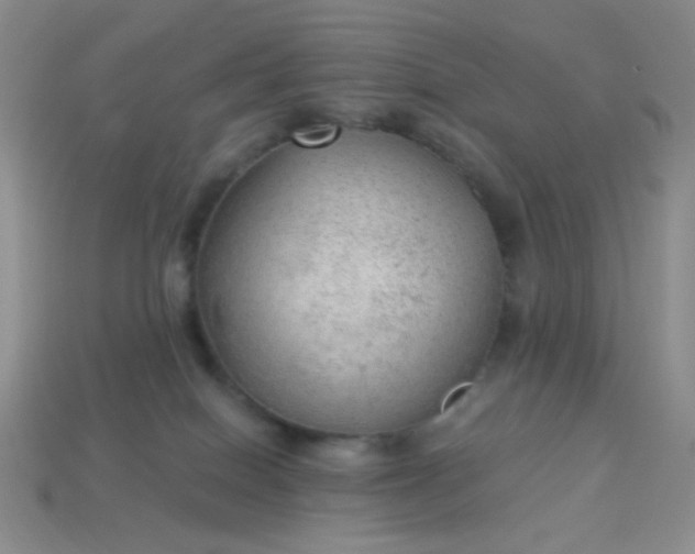 X0000113960086200910091638