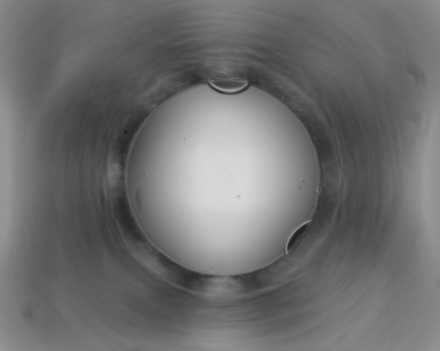 X0000113960087200910091638