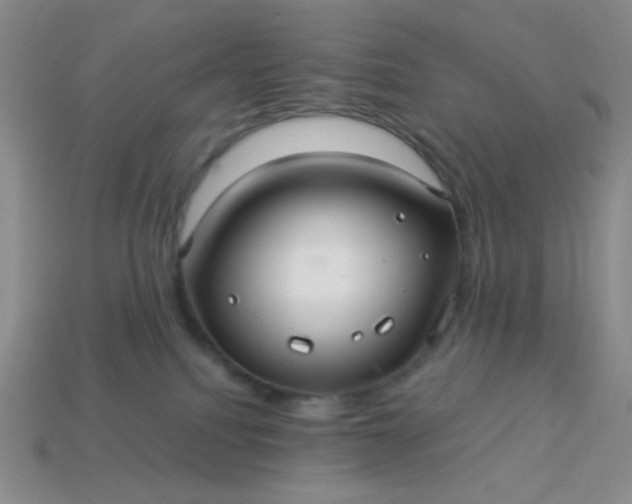 X0000113960088200910091638