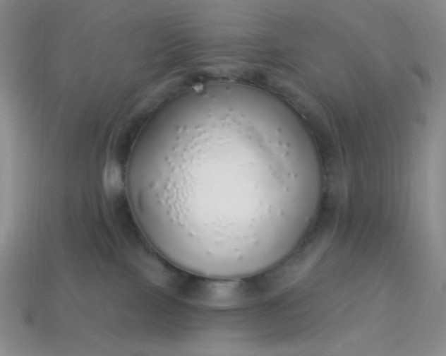 X0000113960089200910091638