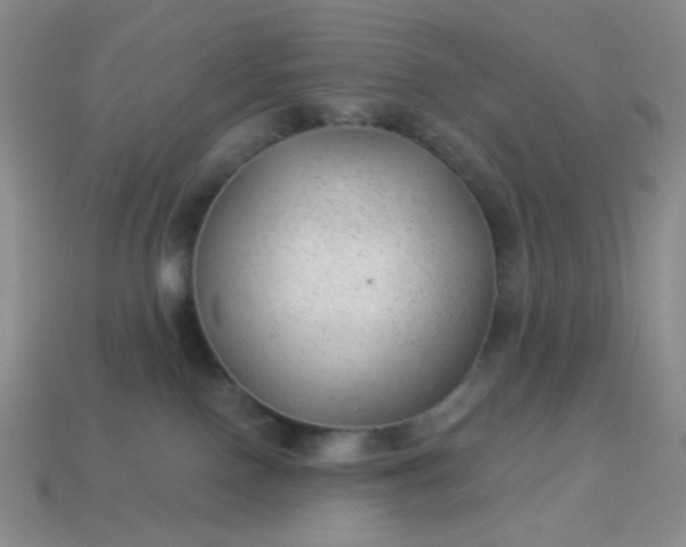 X0000113960090200910091638