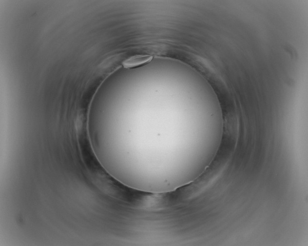 X0000113960092200910091638