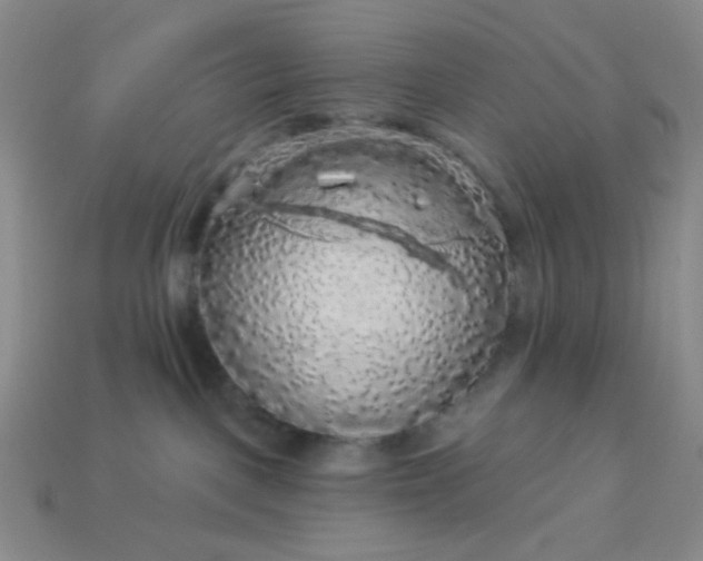 X0000113960093200910091638