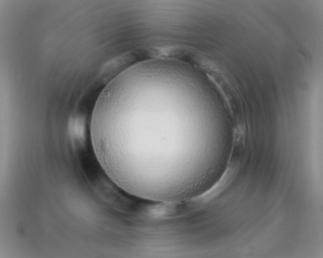 X0000113960094200910091638