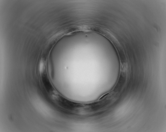 X0000113960095200910091638