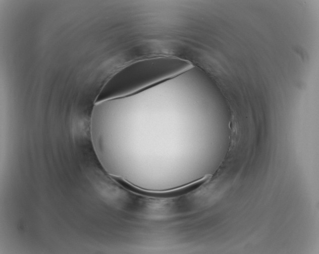 X0000113960096200910091638