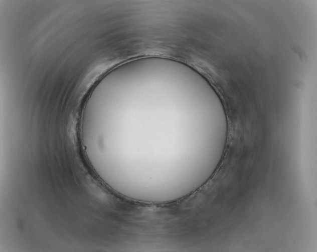 X0000113960098200910091637