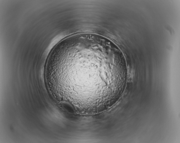 X0000113960099200910091637