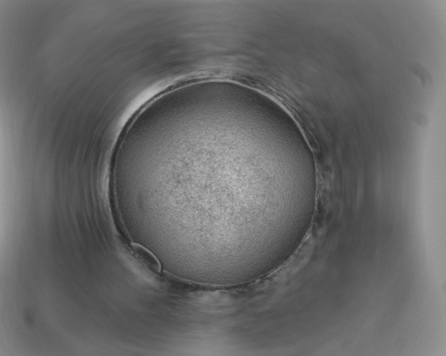 X0000113960100200910091637