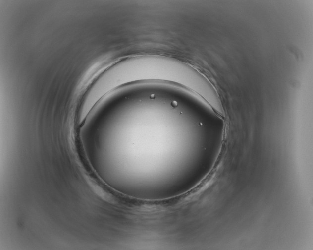 X0000113960101200910091637