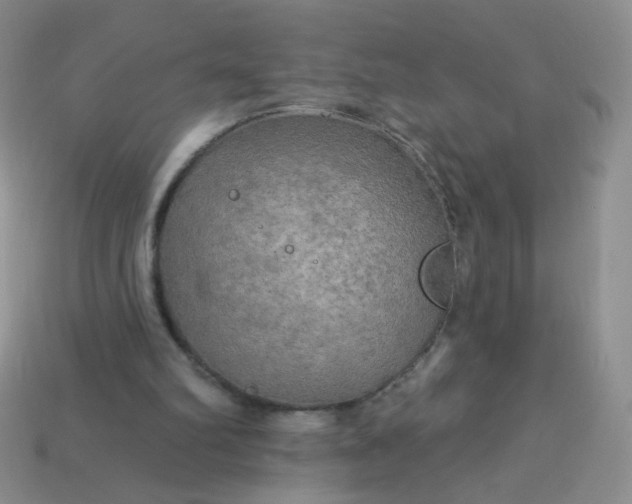 X0000113960102200910091637