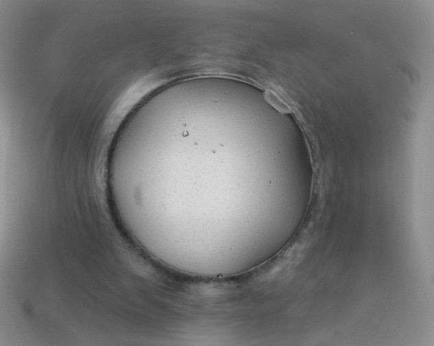 X0000113960103200910091637