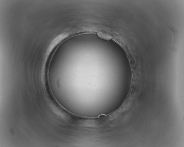 X0000113960104200910091637