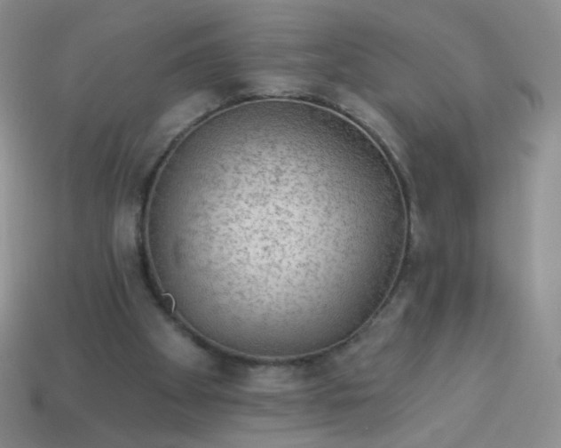 X0000113960105200910091637