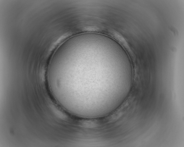 X0000113960106200910091637