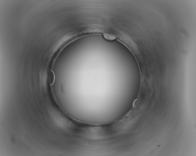 X0000113960108200910091637