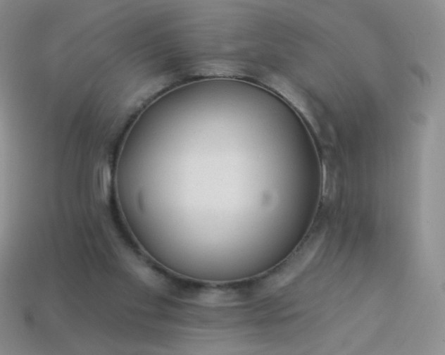 X0000113960109200910091637