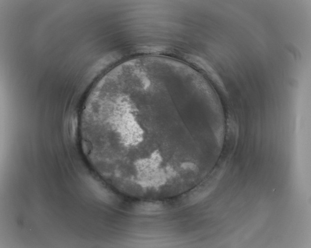 X0000113960110200910091637