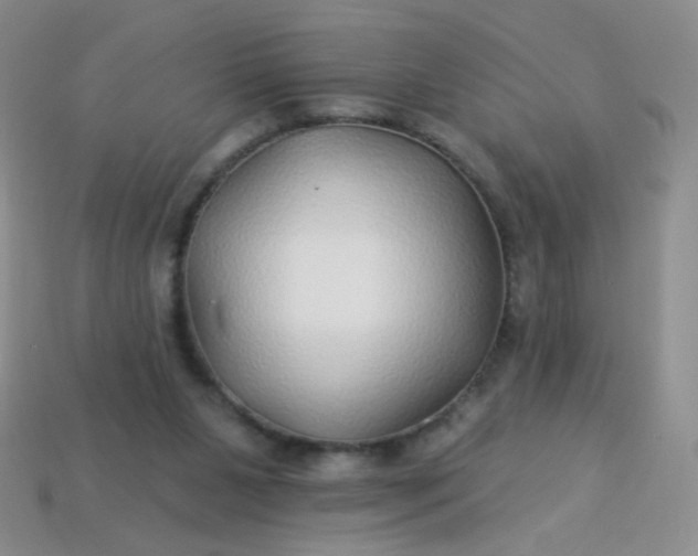 X0000113960111200910091637