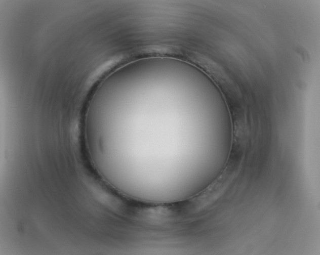 X0000113960112200910091637