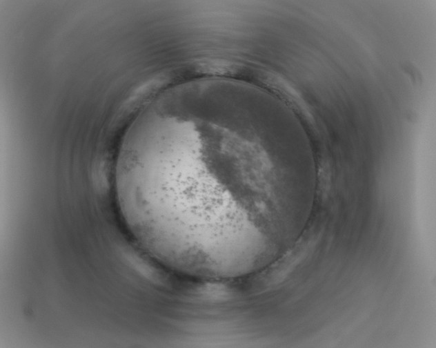 X0000113960114200910091637