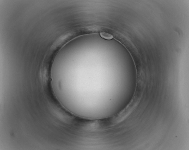 X0000113960116200910091637