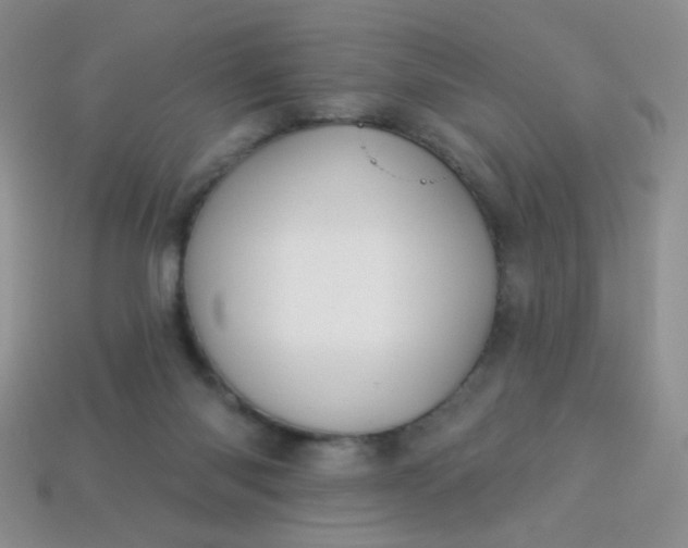 X0000113960118200910091637