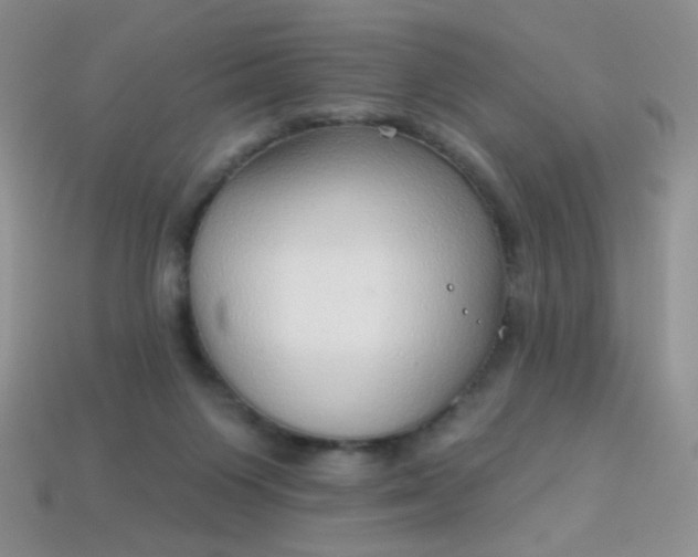 X0000113960119200910091637