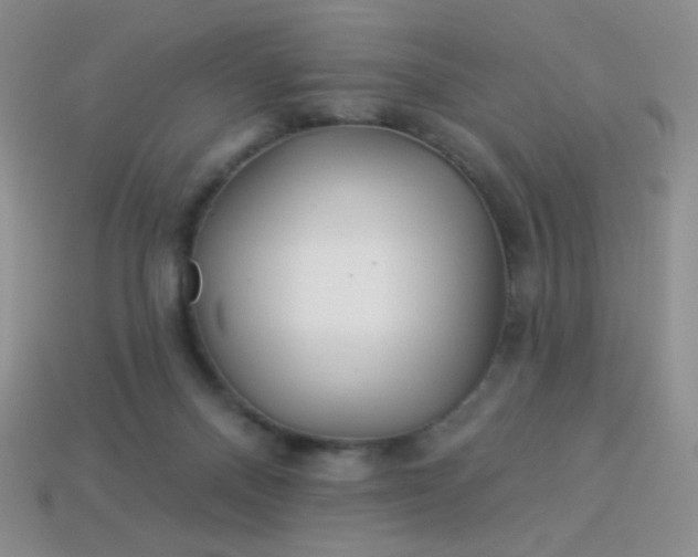 X0000113960120200910091637