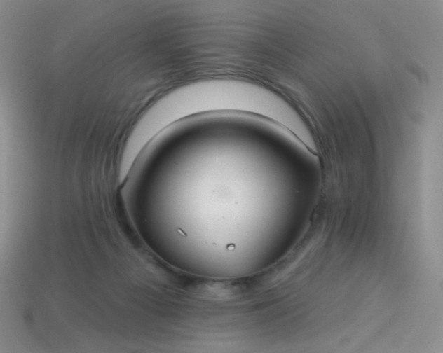 X0000113960121200910091637