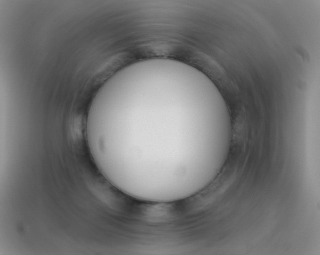 X0000113960122200910091637