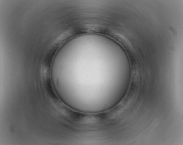 X0000113960123200910091637