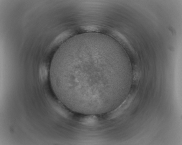 X0000113960124200910091637