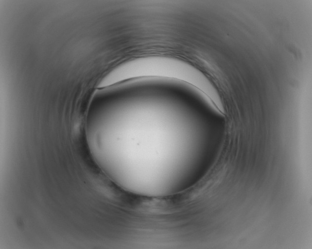 X0000113960125200910091637