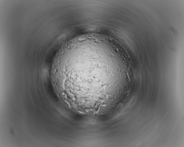 X0000113960127200910091637