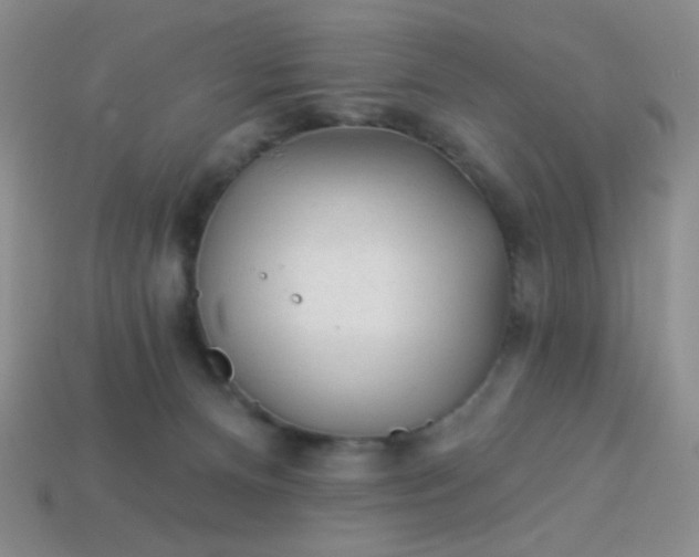 X0000113960128200910091637