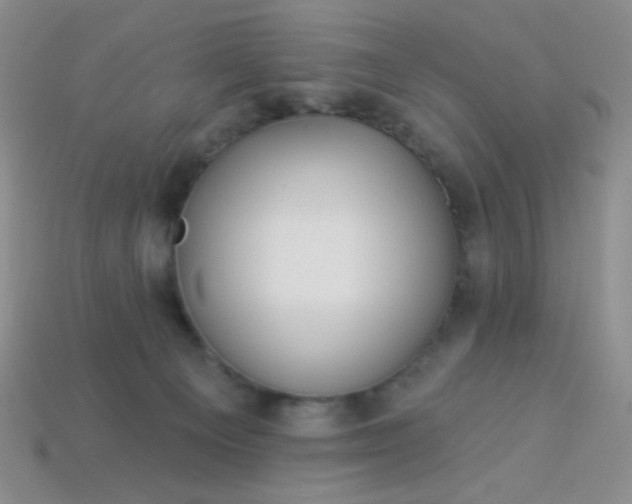 X0000113960129200910091637