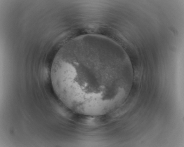 X0000113960130200910091637