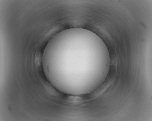 X0000113960133200910091637