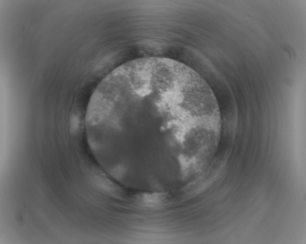 X0000113960134200910091637