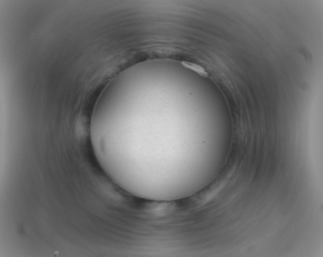 X0000113960135200910091637