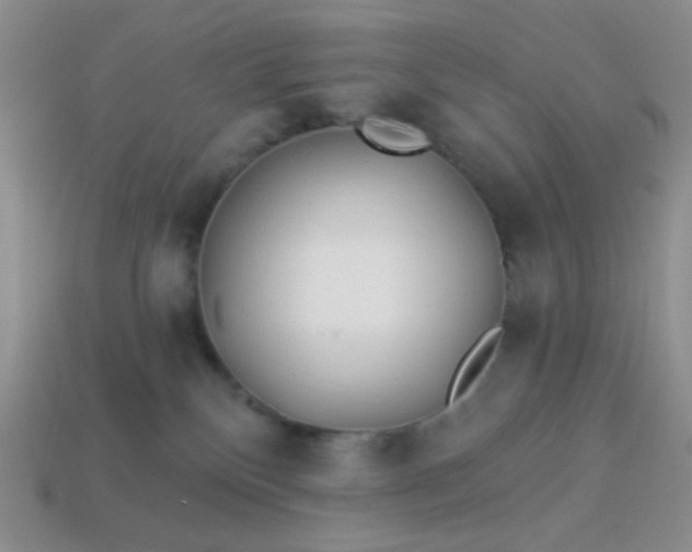 X0000113960136200910091637