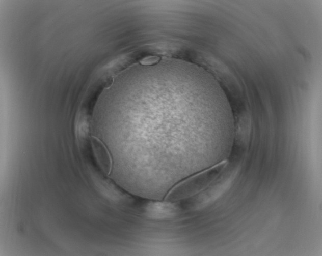 X0000113960137200910091637