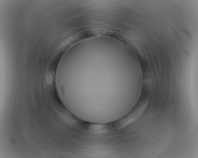 X0000113960139200910091637