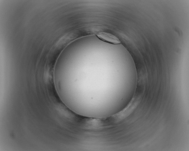 X0000113960140200910091637