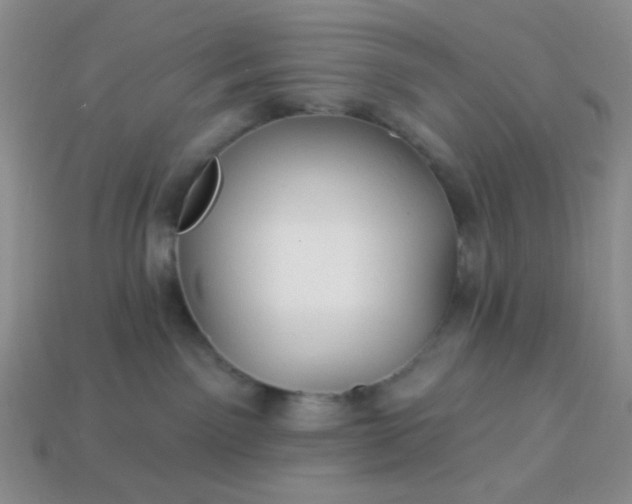 X0000113960141200910091637