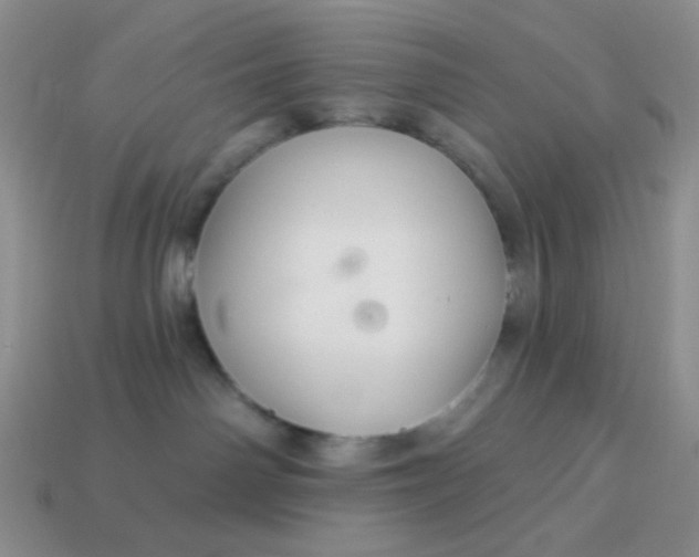 X0000113960142200910091637